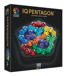 UNSPECIFIED MANUFACTURER CAPTIVATING ADULT PUZZLE GAME BOOKLET - 120 CHALLENGES