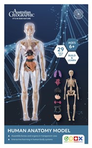 AUSTRALIAN GEOGRAPHIC HUMAN ANATOMY MODEL FOR LEARNING
