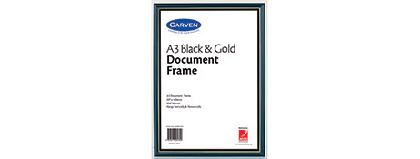 UNSPECIFIED MANUFACTURER BLACK & GOLD DOCUMENT FRAME FOR CERTIFICATES & AWARDS