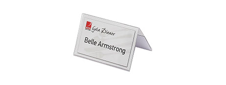 GENERIC/UNSPECIFIED MANUFACTURER CLEAR DESK NAME PLATES WITH INSERTABLE CARDS - PROFESSIONAL DISPLAY