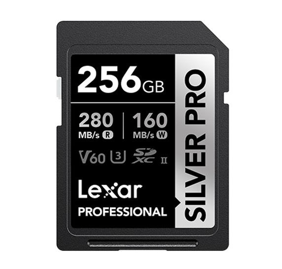 LEXAR 256GB SDXC UHS-I CARD FOR RELIABLE STORAGE