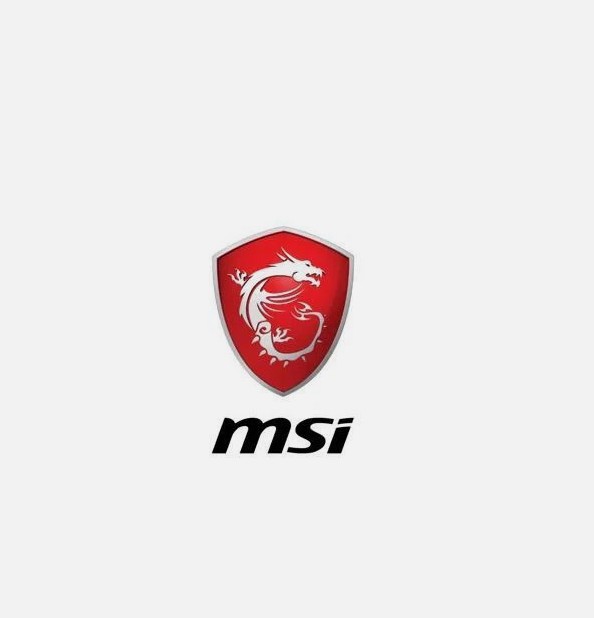 MSI 90 DEGREE USB TYPE-E ADAPTER FOR CLEAN SETUPS